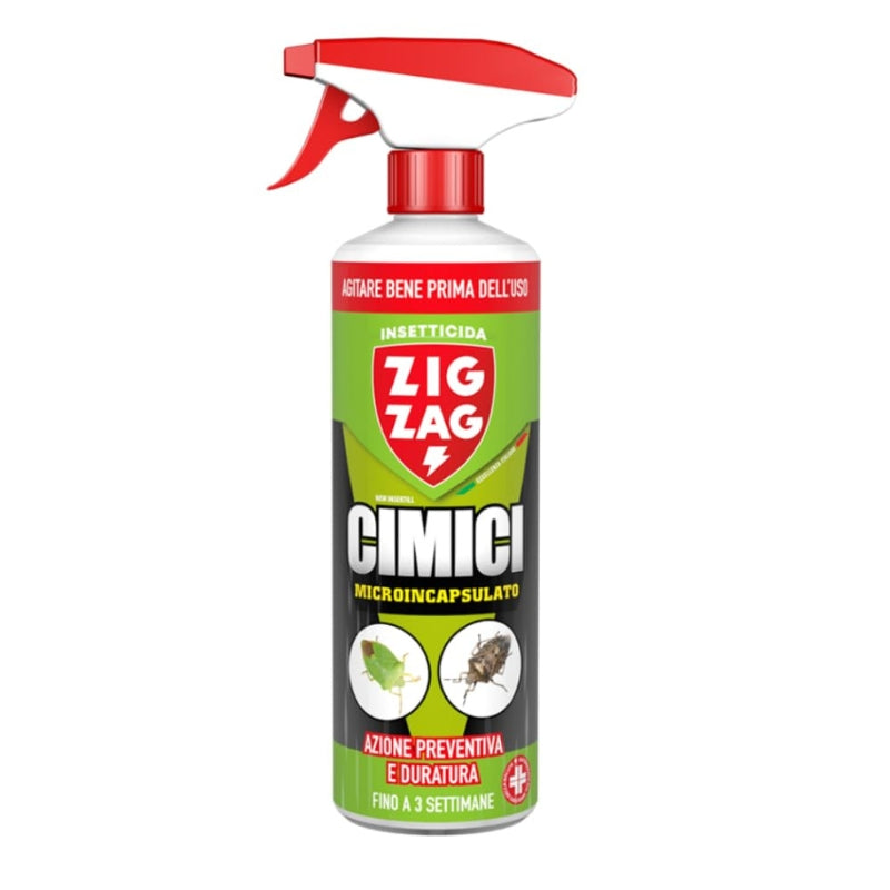 Zigzag Cimici