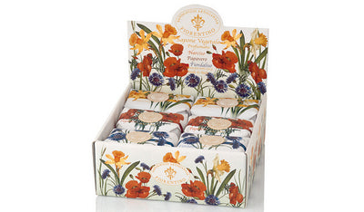 Espositore Sapone Estate Fiorentina