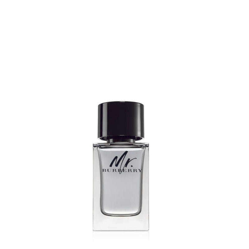 Burberry Mr Burberry Eau De Toilette 100 ML