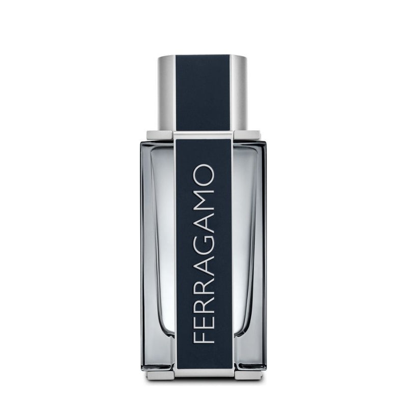 Ferragamo Pour Homme Eau De Toilette 100 ML