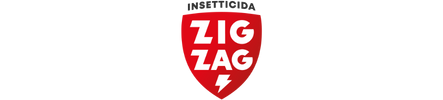 ZIG ZAG