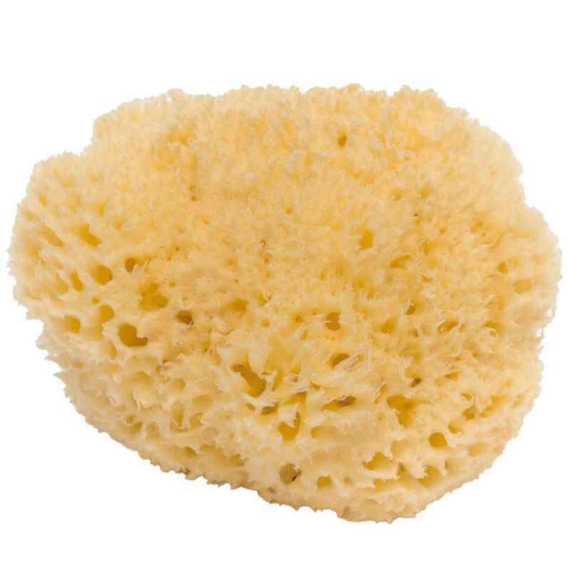 Shasa Spugna Naturale Arcipelago N.16