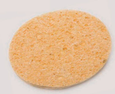 Lisa Spugna Levatrucco 61403