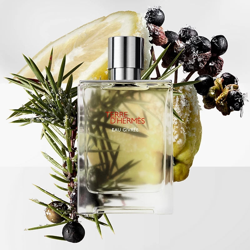 Hermes Terre D'Hermes Eau Givrée Eau De Parfum 100 ML Ricaricabile