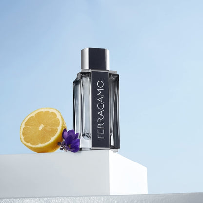 Ferragamo Pour Homme Eau De Toilette 100 ML